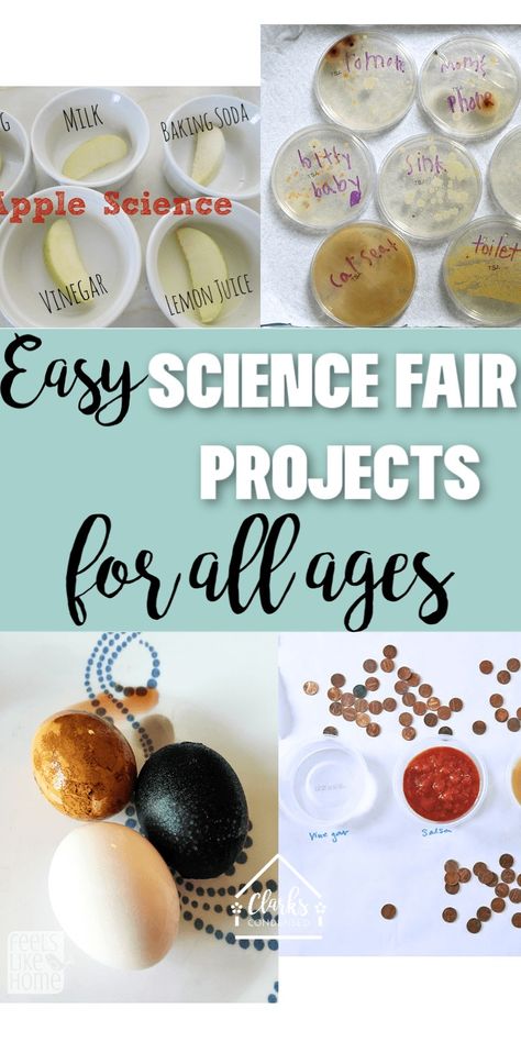 Easy Science Fair Project Ideas for All Ages (And Picking the Perfect Project) 2024 - Clarks Condensed Science Fair Projects For 2nd Grade, Useful Science Projects, Preschool Science Fair Projects, Easy Science Fair Projects For 3rd Grade, Science Fair 2nd Grade Project Ideas, Science Fair 1st Grade Project Ideas, Scientific Method Science Fair Projects, Mold Science Fair Project, Science Fair Projects For Kindergarten