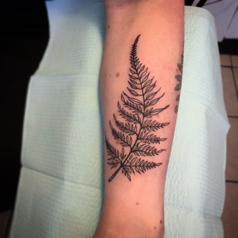 Tattoo by Annie Cogdal. Email AnnieCogdal@gmail.com to book an appointment. Fern Leaf Tattoo, Botanisches Tattoo, Botanical Tattoo Design, Plant Tattoos, Fern Tattoo, Leaf Tattoo, Army Tattoos, Inspiration Tattoos, Plant Tattoo