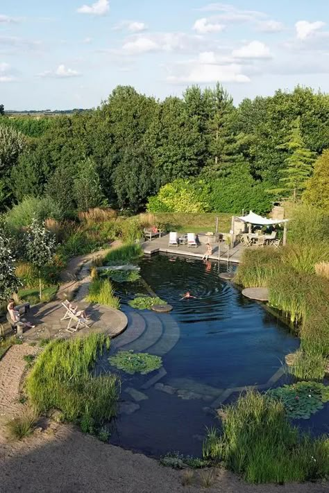 a cool and large swimming pond with brick staps and a wooden deck with outdoor furniture, greenery and water plants Natural Pond Swimming Pool, Pool Ponds Backyard, Big Pond Landscaping, Natural Pond Pool Backyards, Eco Pools Natural Swimming Ponds, Swimming Ponds Backyard, Backyard Pond Ideas Large, House Big Backyard, Large Pond Landscaping