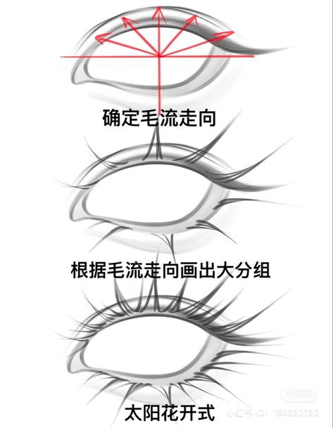 Eyelash Growth Cycle, Eyelashes Drawing, الفن الرقمي, Eye Drawing Tutorials, Digital Painting Techniques, Manga Drawing Tutorials, Digital Art Beginner, Eyelash Growth, Anime Eye Drawing