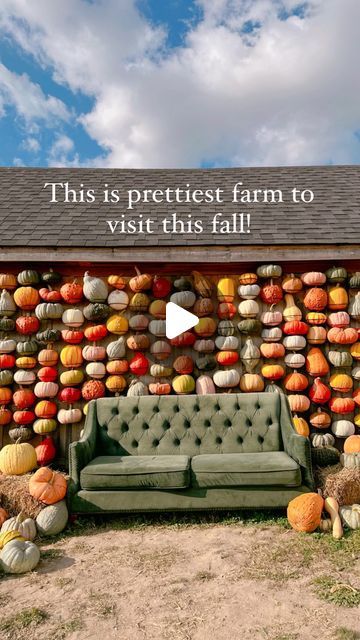 Pumpkin Farm Display, Harvest Event Decor, Fall Farm Market, Fall Market Ideas, Pumpkin Farm Pictures, Pumpkin Patch Decorating Ideas, Pumpkin Patch Ideas, Homestead Market, Farm Stand Ideas