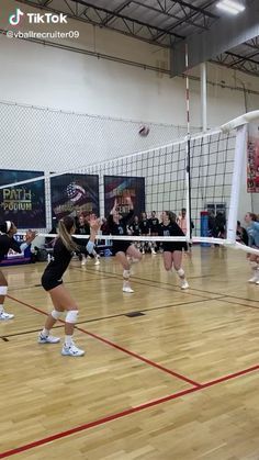 Volleyball Spikes Videos, Volleyball Videos, Volly Ball, Volleyball Gifs, Volleyball Conditioning, Volleyball Motivation, Volleyball Tryouts, Volleyball Memes, Volleyball Stuff