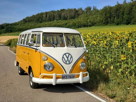 Vw Vintage Van, Yellow Vw Bus, Vw Van Aesthetic, 70s Vw Bus, Old Volkswagen Van, Combi Hippie, Vw Minibus, Volkswagen Vintage, Vintage Volkswagen Bus