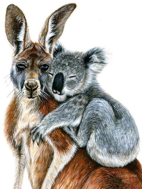 A painting I did to help raise funds for Australia Wildfires of a koala giving a kangaroo a little hug. This was made using watercolour paints. You can purchase this as a print which all profits go to WIRES wildlife fund just click the link.  #wildlifepainting #australiaart #kangaroopainting #koalapainting #koalaart #kangarooart #wildlifeart #animalart Kangaroo Painting, Australia Wildlife, Kangaroo Art, Cute Kangaroo, Wildlife Wall Art, Cute Nursery, Pet Portrait Painting, Watercolor Pet Portraits, Wildlife Paintings