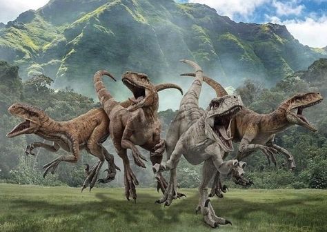 Jurassic World Dominion, Jurassic Park 1993, Dinosaur Images, Dinosaur Pictures, Jurassic World Dinosaurs, Paleo Art, Jurassic Park World, Dinosaur Art, Prehistoric Creatures