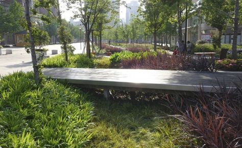 Garden Boardwalk, Green Infrastructure, Areas Verdes, Dry Creek, Water Management, Landscape Plans, Rain Garden, Urban Setting, Urban Spaces