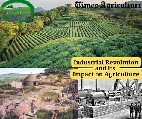 Industrial Revolution and its Impact on Agriculture #IndustrialRevolution #AgricultureImpact #TechnologicalAdvancements #FarmMechanization #Urbanization #CropYieldIncrease #LaborShift #AgriculturalInnovation #RuralTransformation #ModernFarming https://timesagriculture.com/industrial-revolution-and-its-impact-on-agriculture Agricultural Revolution, Factory Work, The Industrial Revolution, Environmental Damage, Sustainable Farming, Industrial Revolution, Rural Area, Natural Resources, Family Farm