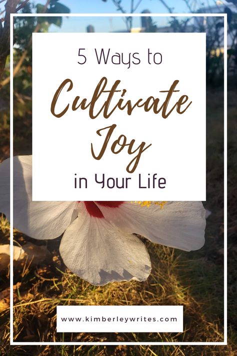 Cultivate Quotes, Inspirational Advice, Joyful Living, 2025 Goals, Daily Journal Prompts, Embrace Imperfections, Gratitude Challenge, Supportive Friends, Enjoy The Sunshine