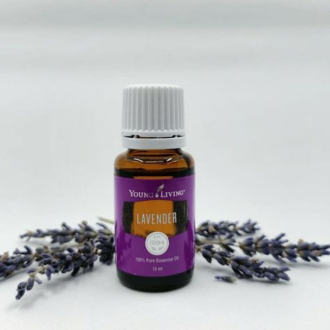 The most popular and (almost) everyone's favorite oil in the whole world. It is also known as the Swiss Army Knife of EO. Lavender has calming and relaxing characteristics with so much more benefits. Can be use topically or aromatic. Young Living Lavender, Army Knife, Birthday List, Swiss Army Knife, Lavender Oil, Swiss Army, Young Living, The Whole, Healthy Lifestyle