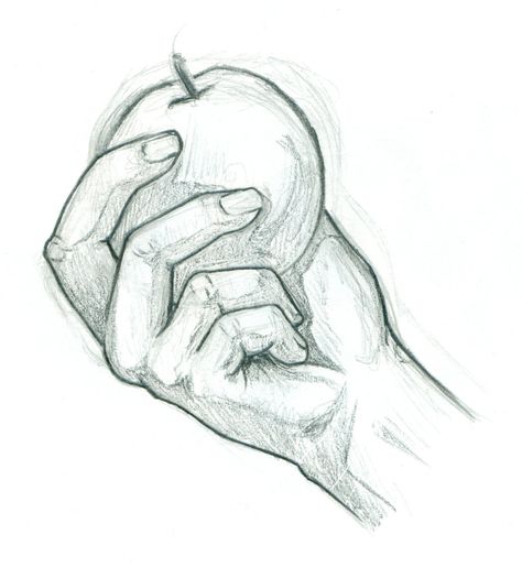 a hand holding an apple drawing - Google Search Hand Holding Apple, Hand Holding Something, Holding An Apple, Apple Drawing, Holding Something, Gcse Art Sketchbook, Hand Drawing Reference, Human Drawing, Object Drawing