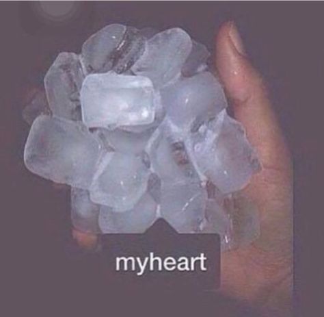 Cold Hearted Quotes, I Am Cold, Cold Heart, Cold Hearted, Relationship Memes, Trendy Quotes, Visual Statements, Quotes About Moving On, New Quotes