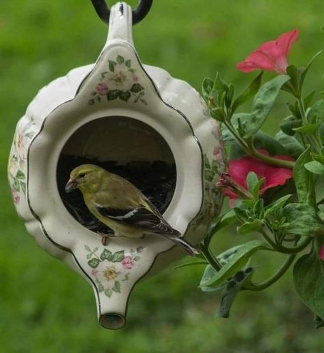 Teapot Garden, Teapot Birdhouse, Urban Decor, Bird Houses Diy, Garden Decorations, Deco Floral, Bird Feeder, Garden Crafts, Birdhouse