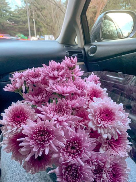 Crysthanamum Flowers, Crythanthimum Flowers, Chrysanthemums Aesthetic, Aesthetic Chrysanthemum, Chrysanthemum Flower Aesthetic, Chrysanthemum Aesthetic, Crysantenum Flower, Chrysanthemums Bouquet, Crysanthemum Flower