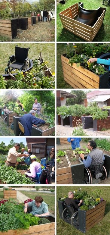 Sensory Gardens, Raised Garden Bed Plans, Raised Flower Beds, Backyard Shade, Healing Garden, Sensory Garden, Garden Compost, Garden Help, Veg Garden