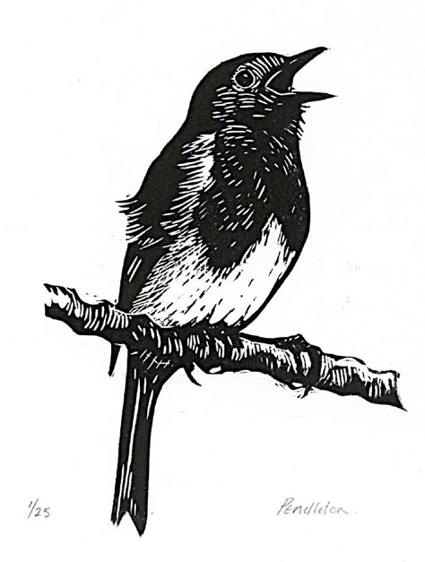 Robin Lino Print, Robin Linocut, Linocut Animals, Bird Linocut, Lino Print Artists, Lino Cut Ideas, Woodcut Tattoo, Victorian Illustration, Abstract Tree Painting