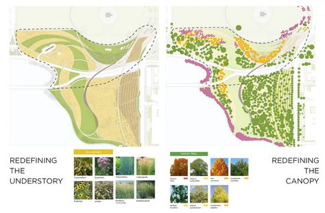 National Mall Winning Design Proposal for Sylvan Theater / Weiss/Manfredi + OLIN Landscape Architecture Plants, Landscape Diagram, Urban Concept, Landscape Design Drawings, Landscape Architecture Drawing, Design Proposal, Architecture Sketchbook, Project Presentation, Park Landscape