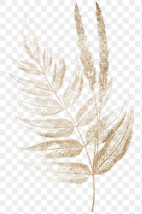 Leaf Png, Art Coquillage, Idee Cricut, Png Elements, Flower Graphic Design, Wedding Logo Design, Fern Leaves, Golden Design, Fern Leaf