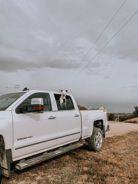 White Pickup Truck Aesthetic, White Truck Aesthetic, Pickup Truck Aesthetic, Truck Aesthetic, Ranch Dogs, Truck Photography, Country Trucks, Cowgirl Stuff, Future Trucks