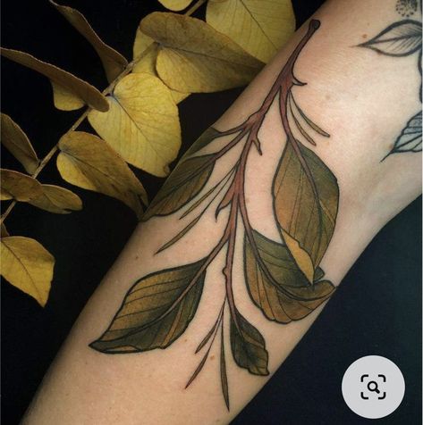 Colored Tattoos, Tree Branch Tattoo, Tree Tattoo Men, Branch Tattoo, Plant Tattoo, Botanical Tattoo, Memorial Tattoos, Aesthetic Tattoo, Nature Tattoos