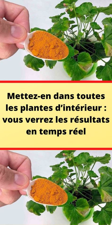 Mettez-en dans toutes les plantes d’intérieur : vous verrez les résultats en temps réel Swing Dance Moves, Repotting Plants, Funny Wedding Photos, Deco Nature, Front Porch Ideas Curb Appeal, Swing Dance, Dance Choreography Indian, Dance Tips, Dance Moves