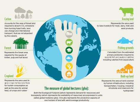 Ecological Footprint Ecological Footprint, Earth From Space, Environmental Science, Ecology, Sustainability, Pie Chart, Doodles, Science, Quick Saves