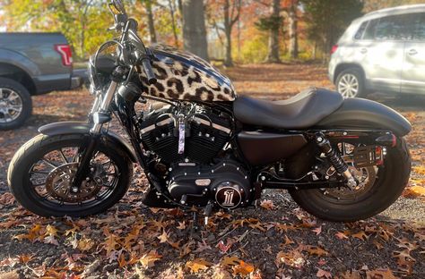 Leopard Motorcycle, Black Motorcycle, Pretty Cars, Future Car, Cute Cars, Retro Cars, Car Car, My Ride, Car Decor