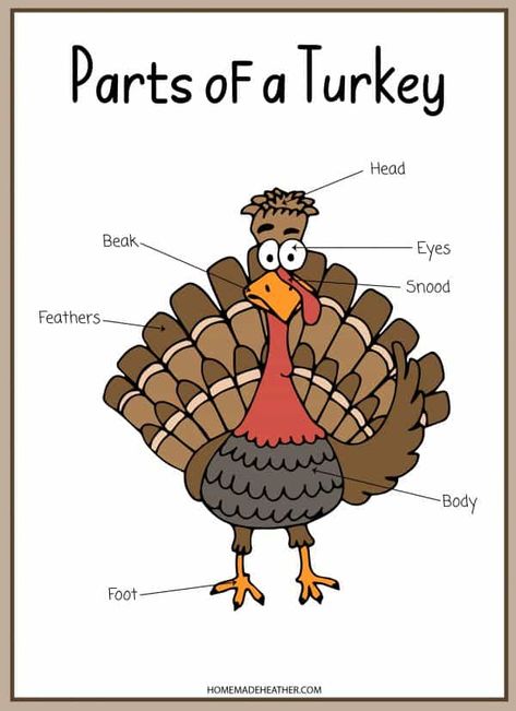 Thanksgiving For Preschool, Turkey Theme Preschool, Fall Preschool Worksheets, Turkey Theme, Turkey Activity, Body Preschool, Activity Printables, Thanksgiving Lessons, Thanksgiving Crafts Preschool