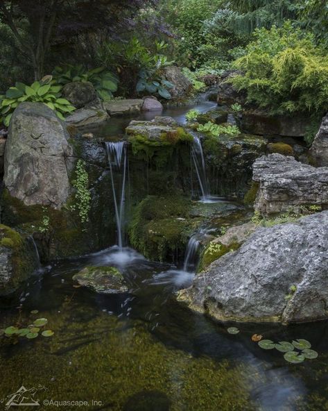 Garden Ponds Ideas, Ponds Ideas, Dream Water, Nature Hike, Backyard Pond, Garden Ponds, Backyard Water Feature, Pond Design, Small Waterfall