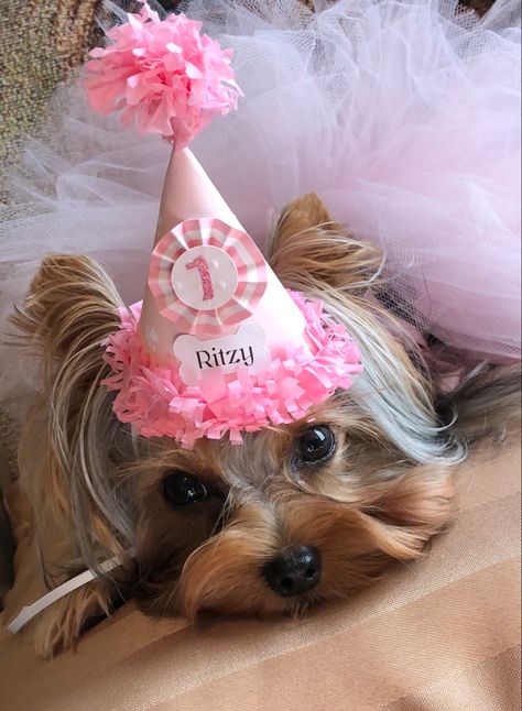 Bling Table Decorations, Puppy Party Decorations, Tissue Paper Fringe, Dog Party Hat, Dog Birthday Hat, Gotcha Day, Girl Dog, Yorkie Puppy, Dog Party