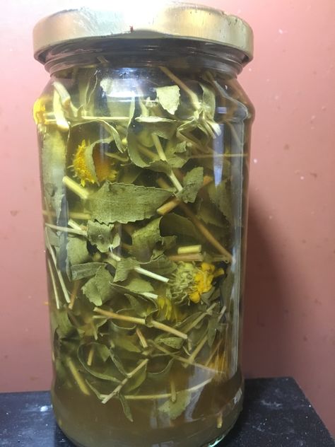 Tincture Making, Making Medicine, Tinctures Recipes, Diy Survival, Breathing Problems, Open Flower, Diy Soap, Medicinal Herbs, Simple Recipe