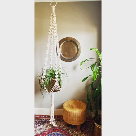 Macramé for Design Lovers 💕 on Instagram: “8 1/2 Foot Long ~ Floor to Ceiling ~ VESTA Plant Hanger available with the Brass Pot 🌙✨💕 If you’ve been waiting for a Statement Macramé…” Giant Macrame, Brass Pot, Floor To Ceiling, Jute Rope, Natural Jute, Cotton Rope, Basket Decoration, Macrame Plant Hanger, Plant Hanger