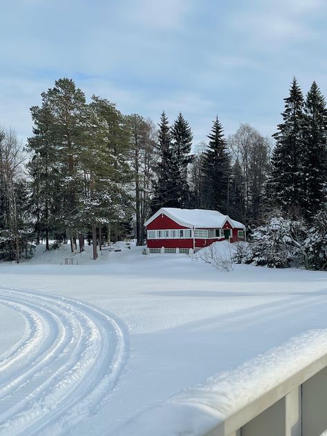 Sweden In Winter, Sweden Aesthetic Winter, Umea Sweden, Sweden Life, Sweden Landscape, Winter In Sweden, Sweden Winter, Sweden Snow Aesthetic, Sweden Snow