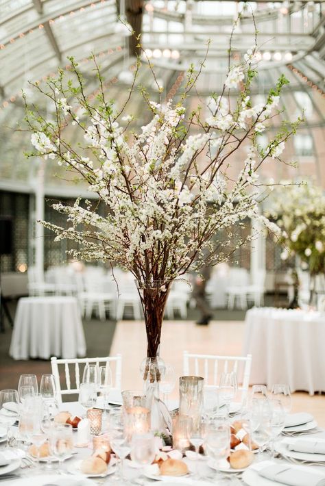 Centerpieces Cherry Blossom Centerpiece, Portfolio Photo, Photo Rose, Garden Reception, Cherry Blossom Wedding, Botanical Gardens Wedding, Wedding Floral Centerpieces, Wedding Centerpieces Diy, Garden Photography