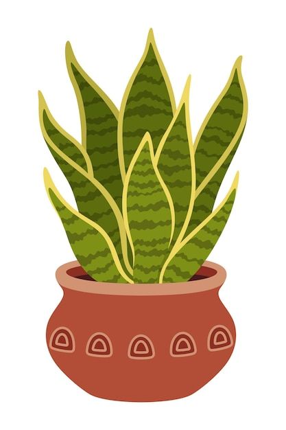 Pot with artificial snake plant vector f... | Premium Vector #Freepik #vector #sansevieria #house-plant #flower-pot #cactus-background Cactus Background, String Art Tutorials, Plant Vector, Vector Flowers, Plant Flower, Snake Plant, House Plant, Art Teacher, String Art