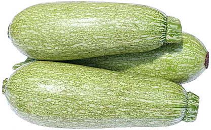 vegetable marrows Vegetable Marrow, Pumpkin Squash, Molluscs, Heirloom Vegetables, Nutritional Value, Grown Up, Cooking Tips, Geography, Zucchini