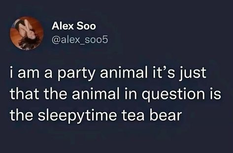 Alex Soo @alex_soo5 i am a party animal it's just that the animal in question is the sleepytime tea bear Sleepytime Tea Bear, Sleepy Time Tea Bear, Sleepytime Tea, Can't Sleep Meme Funny, Sleep Deprived Memes Hilarious, Cant Sleep Meme Humor, Can't Sleep Meme Humor, Animal Party, I Laughed