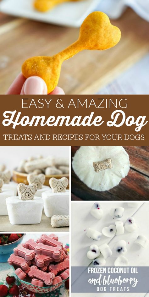 Dog Food Sensitive Stomach, Diy Dog Treats To Sell, Long Lasting Dog Treats Homemade, Homemade Dog Treats Easy, Dog Food Recipes Vet Approved, Dog Treat Ideas, Homemade Dog Food Recipes Vet Approved, Dog Food Recipes Homemade, Food For Sensitive Stomach