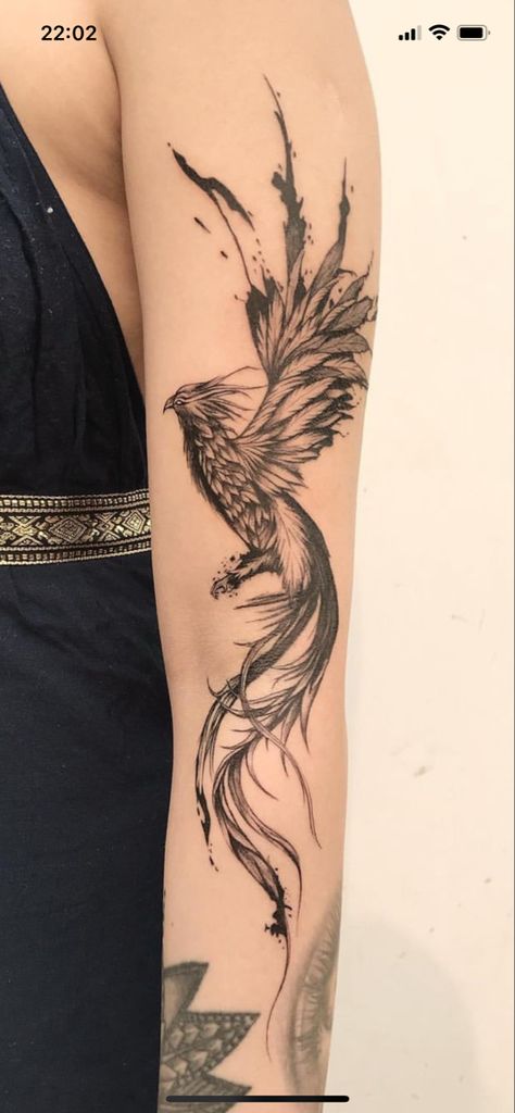 Phoenix Tattoo Arm, Phoenix Tattoo Sleeve, Inside Of Arm Tattoo, Phoenix Tattoo Feminine, Arm Sleeve Tattoos For Women, Phoenix Tattoo Design, Forearm Tattoo Women, Arm Band Tattoo, Shoulder Tattoos For Women