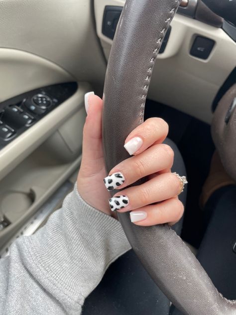 Maroon Cow Print Nails, White And Cow Print Nails, Cow Print Fake Nails, Ombre Cow Print Nails, Cow Dip Nails, Cow Print Accent Nails, Cow Print Dip Nails, Cowprint Nail Design Short, Cute Nails Cow Print