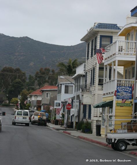 Santa Catalina Island California, Catalina California, Avalon Catalina Island, Catalina Island California, Santa Catalina Island, Santa Catalina, Catalina Island, Island Life, Written By