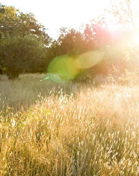 Sun flare Sun Flare Photography, Flare Aesthetic, Lense Flare, Sunshine Photography, Wide Open Spaces, Sun Flare, Light Flare, Trials Of Apollo, Magnus Chase