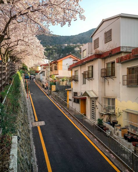 Korean Neighborhood Aesthetic, Korean Aesthetic Photography, Korean Neighborhood, Seoul House, Korean Town, Japan Street, Architecture Model House, Japanese Landscape, Countryside House