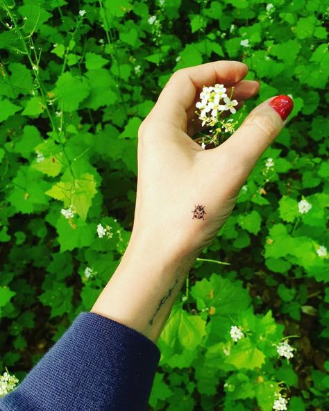 Tattoo Ladybug, Ladybird Tattoo, Lady Bug Tattoo, Bug Tattoo, Petite Tattoos, Tattoo Font, Poke Tattoo, Jewelry Tattoo, Subtle Tattoos