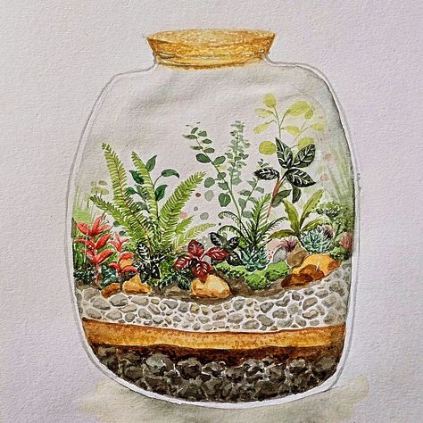 Terrarium #terrarium #terrariumart #watercolourterrarium #houseplantart #paintedacornart . Terrarium Art, Plant Art, Beautiful Patterns, Terrarium, Paint, Drawings, Pattern, Quick Saves, Art