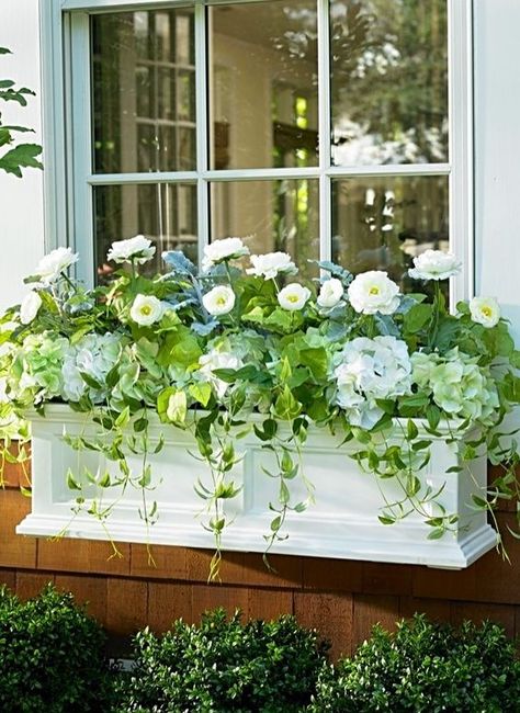 White Window Boxes, Box Flowers, Window Box Flowers, Window Planters, Flower Window, Window Planter Boxes, White Windows, Grandin Road, Garden Windows