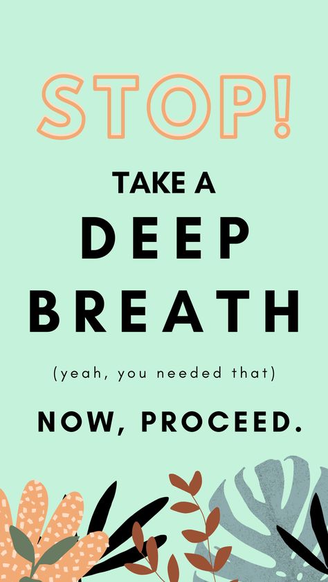 STOP! Take a deep breath. Now, Proceed. #inspiration #inspirationalquotes #quotes #quotestoliveby #motivation #motivationalquotes #stopandbreath #takeabreath #relax Deep Breath Quotes, Quotes For Dp, Breathe Quotes, Office Quotes, Special Pictures, Take A Breath, Just Breathe, Take A Deep Breath, Office Inspiration