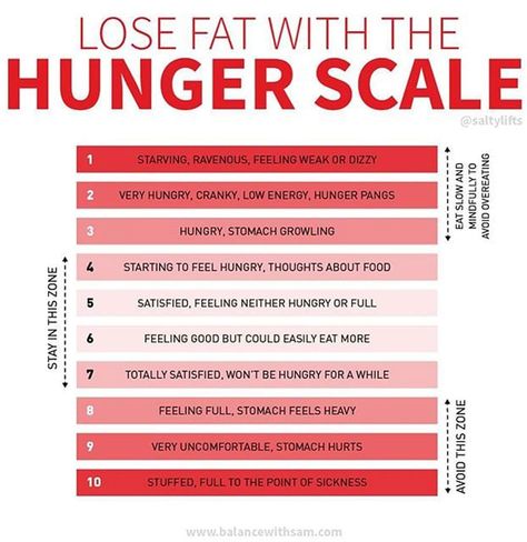 How To Feel Full, Hunger Scale, Start Losing Weight, Feeling Hungry, Intuitive Eating, Burn Belly Fat, Health Blog, Lose Belly, Body Fat