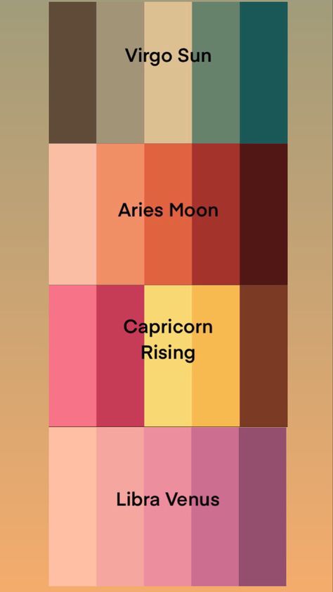 Aries Color Palette, My Birth Chart, Zodiak Aries, Venus Aesthetic, Capricorn Rising, Scorpio And Capricorn, Aries And Scorpio, Rising Sign, Palette Inspiration