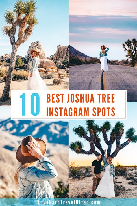 Joshua Tree Photo Spots - best Instagram spots in the park! Joshua Tree National Park Photography, Springs Outfit, Joshua Tree Park, Palm Springs Aesthetic, Tree Town, Palm Springs Bachelorette, Salvation Mountain, Tree Day, Joshua Tree California