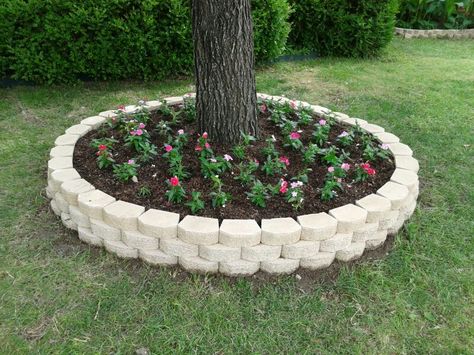 Front annual bed with "Cora" Vinca in various colors. Landscaping Around Trees, Front Garden Landscape, Rock Garden Landscaping, Home Garden Decor, Outdoor Gardens Design, Garden Yard Ideas, Garden Edging, Diy Landscaping, Front Yard Landscaping Design